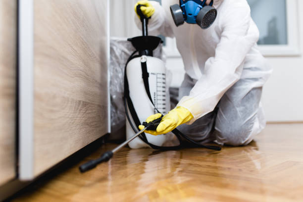 Reliable University, FL Pest Control Solutions