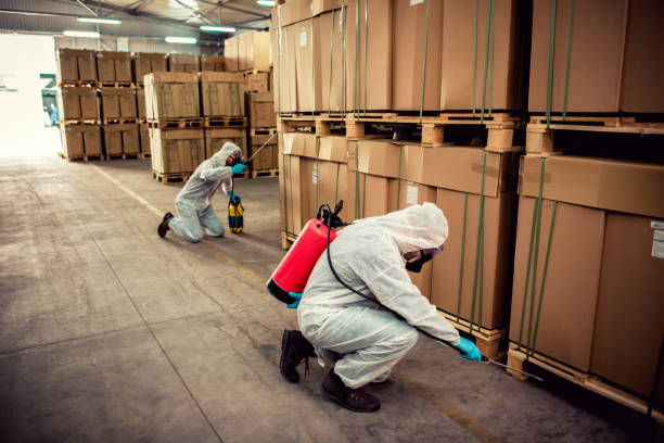 Best Ant Control Services  in University, FL