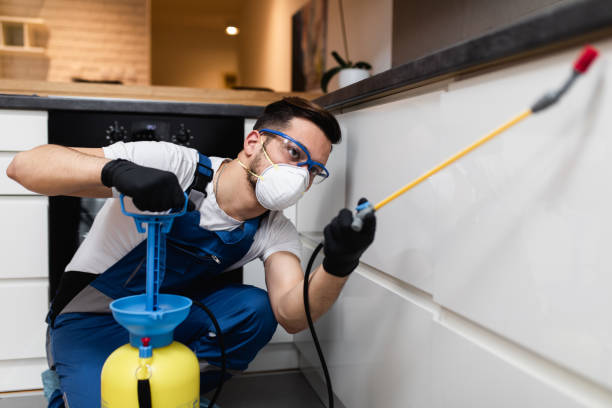 Best Pest Inspection Near Me  in University, FL