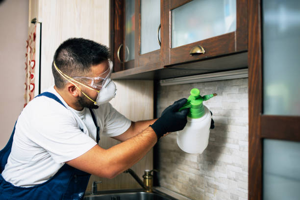 Trusted University, FL Pest Control Experts