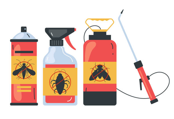 Best Spider Control Near Me  in University, FL