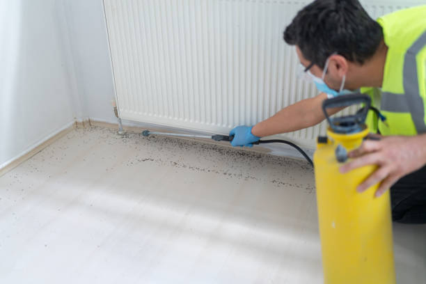 Best Mosquito Control Services  in University, FL